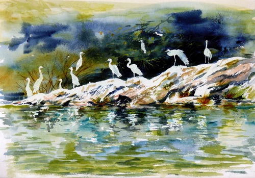Nile Egrets